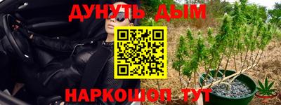 экстази Новозыбков