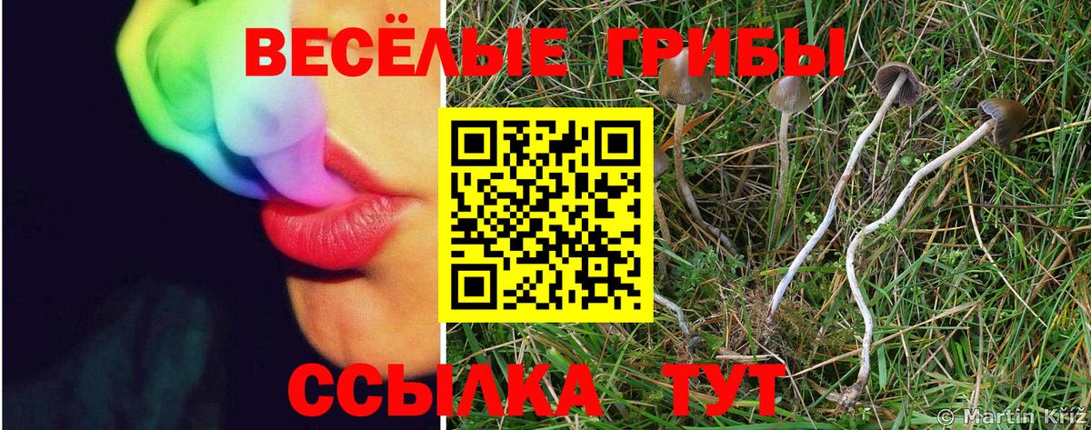 Галлюциногенные грибы GOLDEN TEACHER Строитель