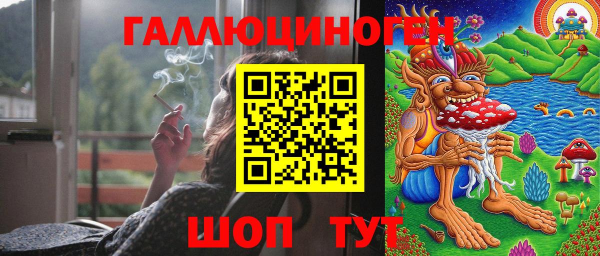 Галлюциногенные грибы Psilocybine cubensis  Вход с VPN  Строитель 
